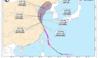 梅花号台风对东营港会有多大影响 台风梅花路径图